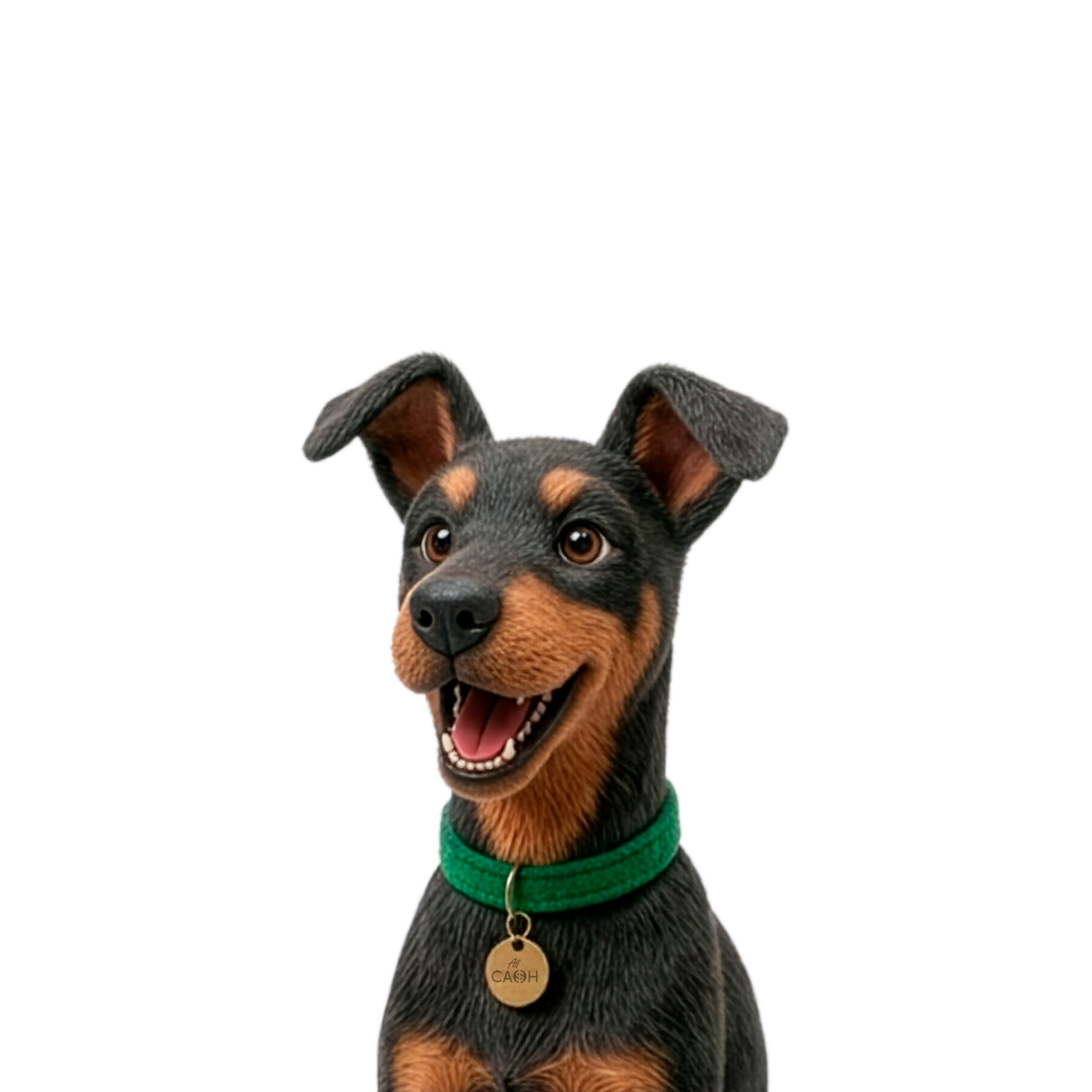 Cashi Mascot